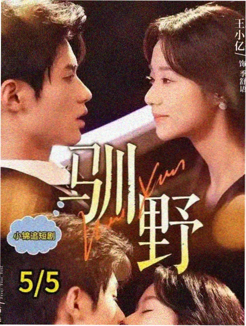 挪威的森林电影海报